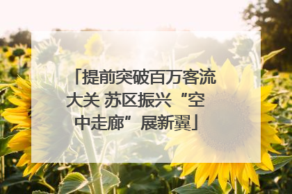 提前突破百万客流大关 苏区振兴“空中走廊”展新翼