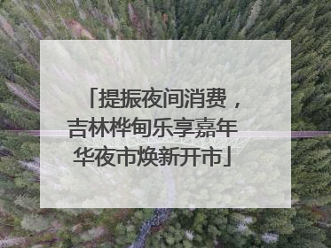 提振夜间消费，吉林桦甸乐享嘉年华夜市焕新开市