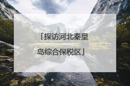 探访河北秦皇岛综合保税区