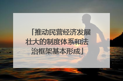 推动民营经济发展壮大的制度体系和法治框架基本形成