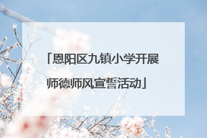 恩阳区九镇小学开展师德师风宣誓活动