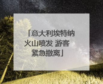 意大利埃特纳火山喷发 游客紧急撤离