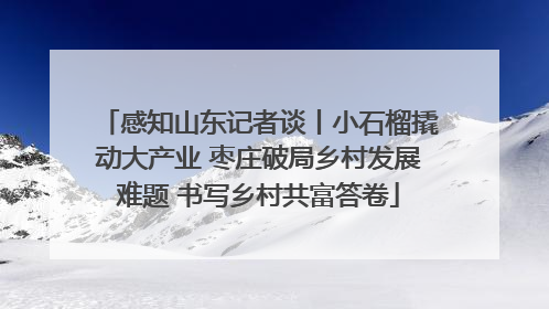 感知山东记者谈丨小石榴撬动大产业 枣庄破局乡村发展难题 书写乡村共富答卷