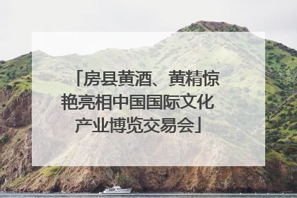 房县黄酒、黄精惊艳亮相中国国际文化产业博览交易会