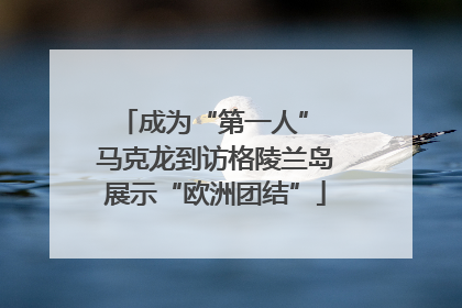 成为“第一人” 马克龙到访格陵兰岛展示“欧洲团结”