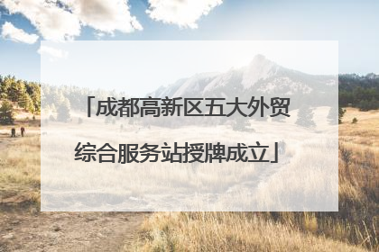 成都高新区五大外贸综合服务站授牌成立