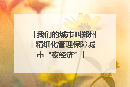 我们的城市叫郑州丨精细化管理保障城市“夜经济”
