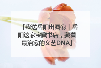 我送岳阳出圈⑥丨岳阳这家宝藏书店,藏着最治愈的文艺DNA