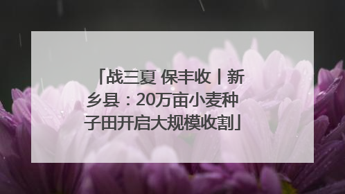 战三夏 保丰收丨新乡县：20万亩小麦种子田开启大规模收割