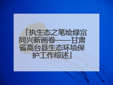执生态之笔绘绿富同兴新画卷——甘肃省高台县生态环境保护工作综述