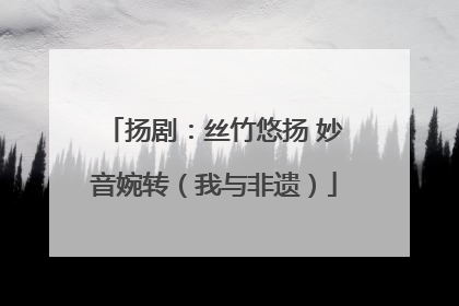 扬剧：丝竹悠扬 妙音婉转（我与非遗）