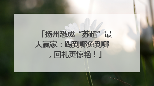 扬州恐成“苏超”最大赢家：踢到哪免到哪，回礼更惊艳！