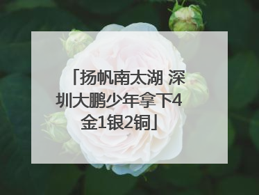 扬帆南太湖 深圳大鹏少年拿下4金1银2铜