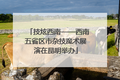 技炫西南——西南五省区市杂技魔术展演在昆明举办