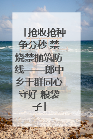 抢收抢种争分秒 禁烧禁抛筑防线——郎中乡干群同心守好 粮袋子
