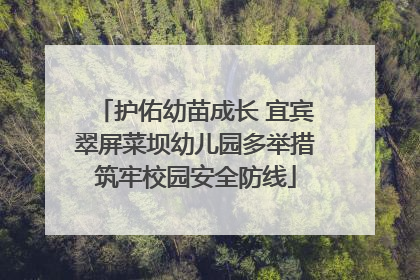 护佑幼苗成长 宜宾翠屏菜坝幼儿园多举措筑牢校园安全防线