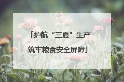 护航“三夏”生产 筑牢粮食安全屏障