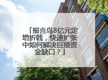 报喜鸟8亿元定增折戟，快速扩张中如何解决巨额资金缺口？