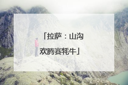 拉萨：山沟欢腾赛牦牛