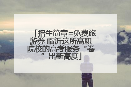 招生简章=免费旅游券 临沂这所高职院校的高考服务“卷”出新高度