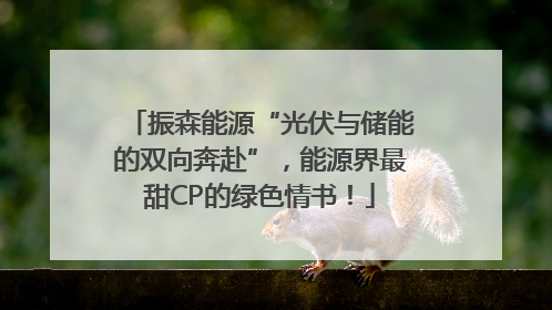 振森能源“光伏与储能的双向奔赴”，能源界最甜CP的绿色情书！