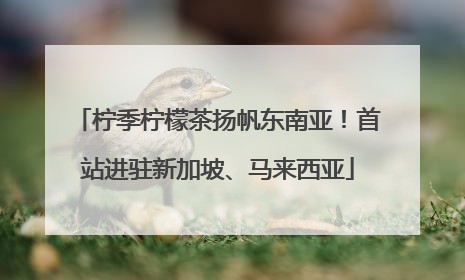 柠季柠檬茶扬帆东南亚！首站进驻新加坡、马来西亚