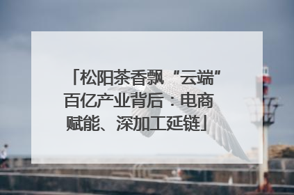 松阳茶香飘“云端” 百亿产业背后：电商赋能、深加工延链