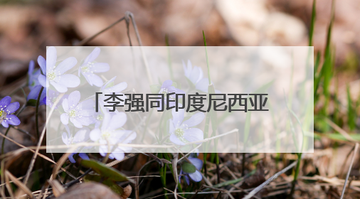 李强同印度尼西亚总统普拉博沃会谈