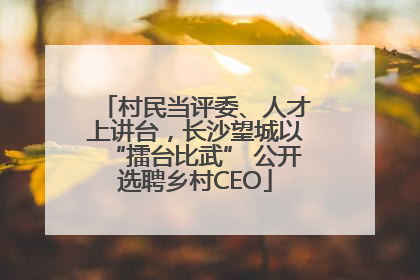 村民当评委、人才上讲台，长沙望城以“擂台比武” 公开选聘乡村CEO