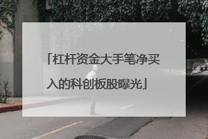 杠杆资金大手笔净买入的科创板股曝光