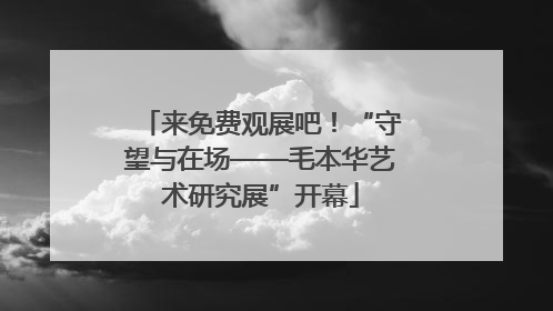 来免费观展吧！“守望与在场——毛本华艺术研究展”开幕