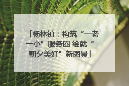 杨林镇：构筑“一老一小”服务圈 绘就“朝夕美好”新图景