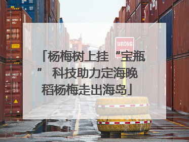 杨梅树上挂“宝瓶” 科技助力定海晚稻杨梅走出海岛