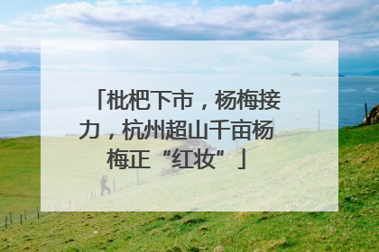 枇杷下市，杨梅接力，杭州超山千亩杨梅正“红妆”