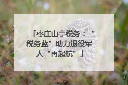 枣庄山亭税务：“税务蓝”助力退役军人“再起航”