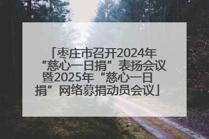 枣庄市召开2024年“慈心一日捐”表扬会议暨2025年“慈心一日捐”网络募捐动员会议