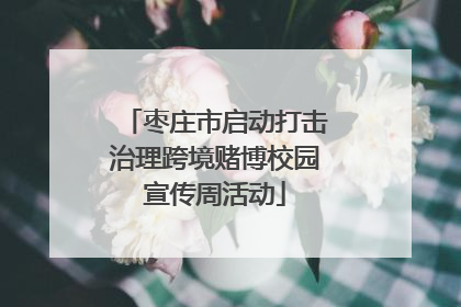 枣庄市启动打击治理跨境赌博校园宣传周活动