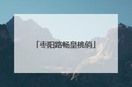 枣阳路畅皇桃俏