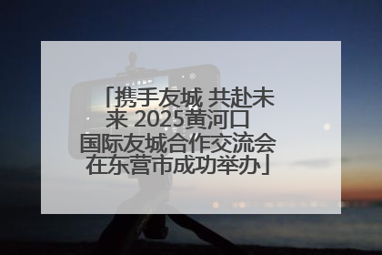 携手友城 共赴未来 2025黄河口国际友城合作交流会在东营市成功举办
