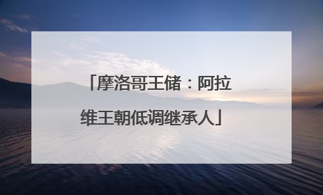 摩洛哥王储：阿拉维王朝低调继承人