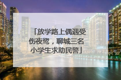 放学路上偶遇受伤夜鹭，聊城三名小学生求助民警