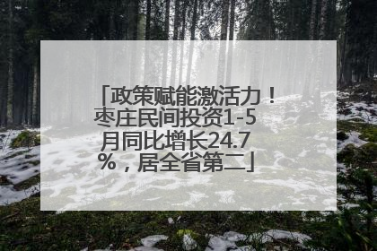 政策赋能激活力！枣庄民间投资1-5月同比增长24.7%，居全省第二