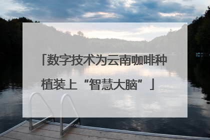 数字技术为云南咖啡种植装上“智慧大脑”