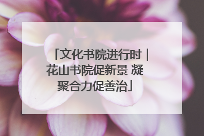 文化书院进行时｜花山书院促新景 凝聚合力促善治