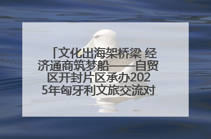 文化出海架桥梁 经济通商筑梦船——自贸区开封片区承办2025年匈牙利文旅交流对接活动专场