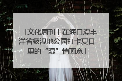 文化周刊丨在海口潭丰洋省级湿地公园打卡夏日里的“湿”情画意