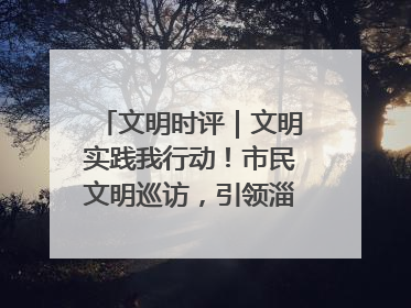 文明时评｜文明实践我行动！市民文明巡访，引领淄博全民志愿