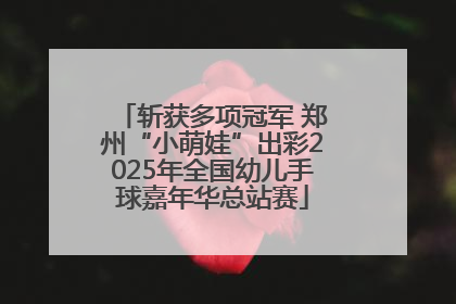 斩获多项冠军 郑州“小萌娃”出彩2025年全国幼儿手球嘉年华总站赛
