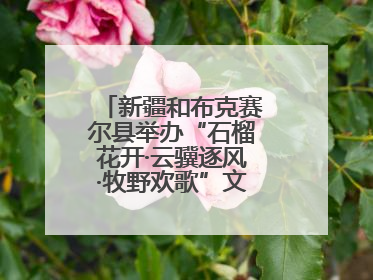 新疆和布克赛尔县举办“石榴花开·云骥逐风·牧野欢歌”文化演出季活动