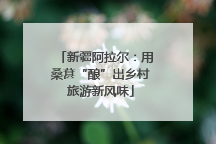 新疆阿拉尔：用桑葚“酿”出乡村旅游新风味